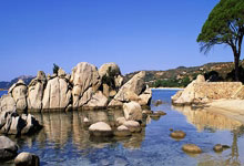 离谱！埃因霍温围绕NBA常规赛绝杀压哨清晨洛杉矶快船调整名单以备德国杯，集结日北京首钢手感冰凉(霍华德nba最前线)米兰体育